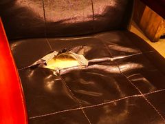 -漫咖啡(红唐店)