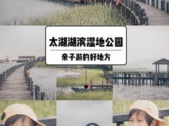 -太湖湖滨国家湿地公园-停车场