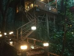 景点-天门沟九州驿站树上汤泉