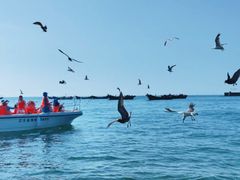 -大连金石滩国家旅游度假区