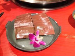 -谭鸭血老火锅(漳州路店)