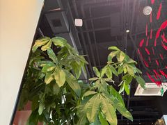 -洞庭鱼香(万科店)