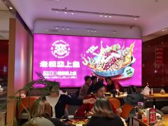 -老板恋上鱼(恒隆广场店)