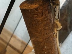 -春晖园度假酒店温泉