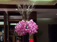 -九里云松·天香餐厅