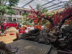 -老山东·山东菜(鲁菜名店)