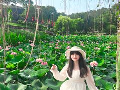 -广州莲花山旅游区