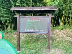 -黄海国家森林公园