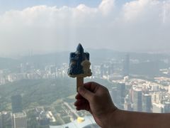 -平安金融中心云际观光层