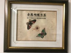 -上海昆虫博物馆