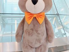 -济州岛泰迪熊博物馆