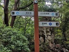 -同里国家湿地公园