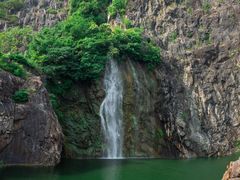 -上海辰山植物园