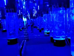 -成都浩海立方海洋公园