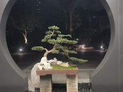 -椿杨樘·明康泡浴养生馆(重庆店)