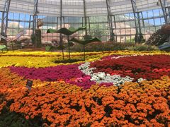 -芽庄珍珠岛游乐园