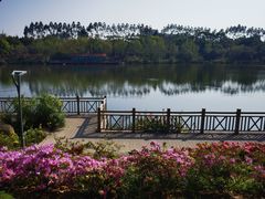 -琴亭湖公园