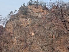 -天女山森林公园