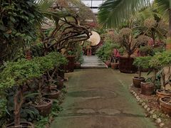 -呀路古热带植物园