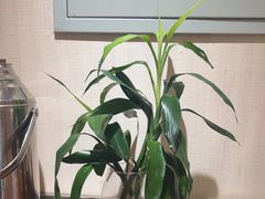 -湘南情·38秒生炒黄牛肉(学院路店)