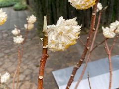 -川锅哎哟·麻辣香锅(国大城市广场店)