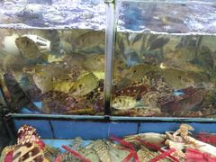 -龙溪海鲜酒家(溪涌店)