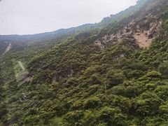 -黑竹沟新场牛肉火锅