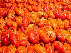 -东营蓝海国际大饭店·渔歌舫