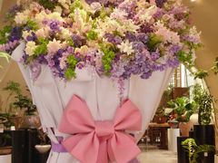 -三圣花乡旅游区