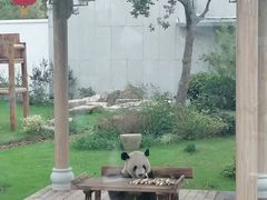 -无锡动物园·太湖欢乐园