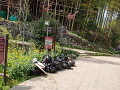 -宁波浙东大竹海景区