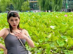-莲湖公园