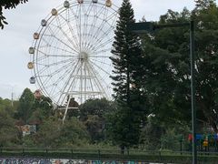 -观澜湖生态运动公社