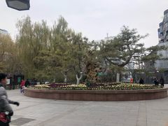 -文瀛公园