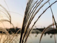 -扬州天乐湖嬉乐谷