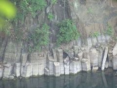-王借岗森林公园