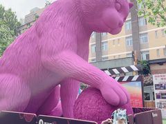 -西安电影制片厂