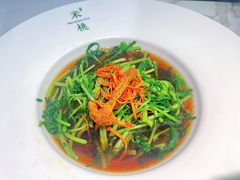 -米桃-吴韵风雅·拙园(北外滩来福士店)