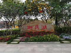 -映月湖公园