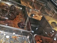 -乔波食品(杜桥中心菜场店)