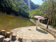 -龙湾潭国家森林公园