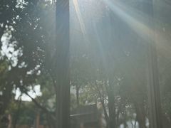 -LOTTA COFFEE(安居博文苑店)
