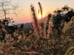-鬼笑石后山停车场