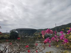 -中国移动南方基地