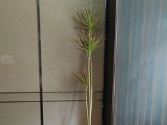 -大拙里·精致融合菜(沙湖桃源国际店)
