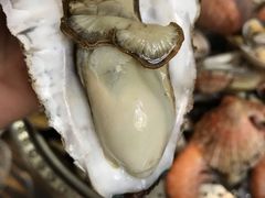 -海帮主·蒸汽海鲜青岛菜(栈桥火车站店)