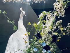 -滇野云南野生菌餐厅(陕西南路店)