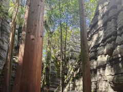 -梭布垭石林景区