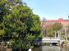 -叶家花园
