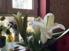 -塞纳河法国餐厅(意式风情街店)